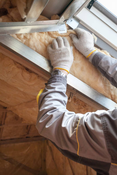 Best Specialized Insulation Services in Oak Ridge, TN