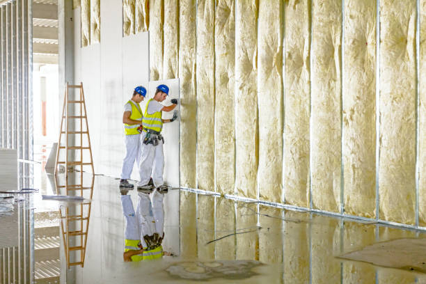 Best Cellulose Insulation in Oak Ridge, TN